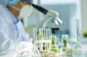 Descubra quais são as 4 principais áreas de trabalho da biotecnologia