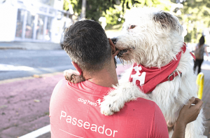 Veja como trabalhar com a DogHero e ganhar dinheiro com pets
