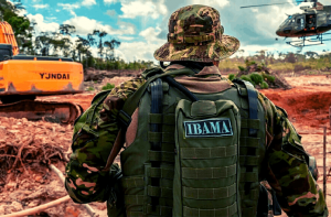 Concurso Ibama – Veja o edital e como se inscrever