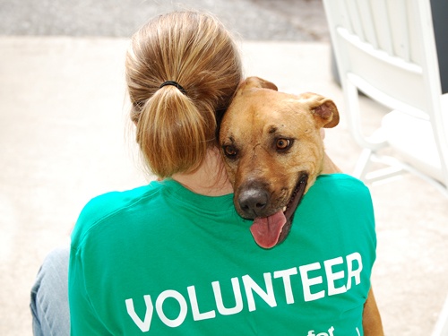 Conheça 10 tipos de trabalhos que contam como voluntário
