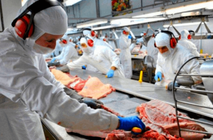 Emprego na Friboi: descubra as vantagens de trabalhar na empresa